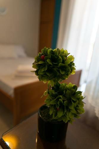 Apartamento Hotel Sarikas