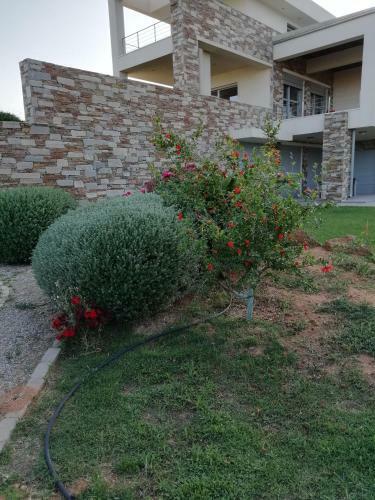 Hostal Dimitra