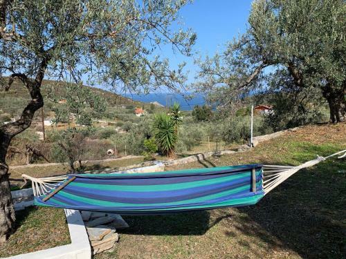 Olive Hill Private House