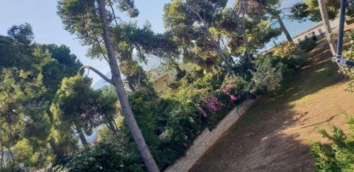 Poros Neorion Apartment