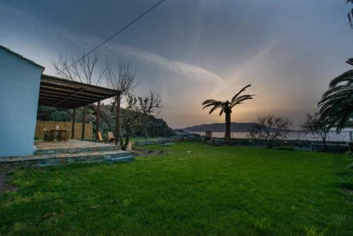 Villa Jane's House