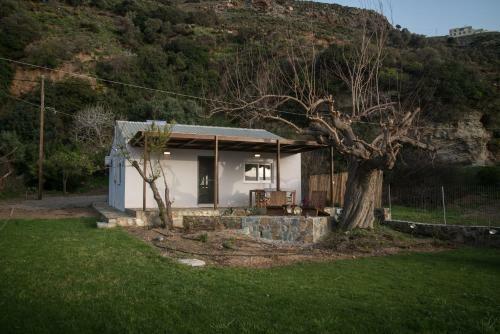 Villa Jane's House