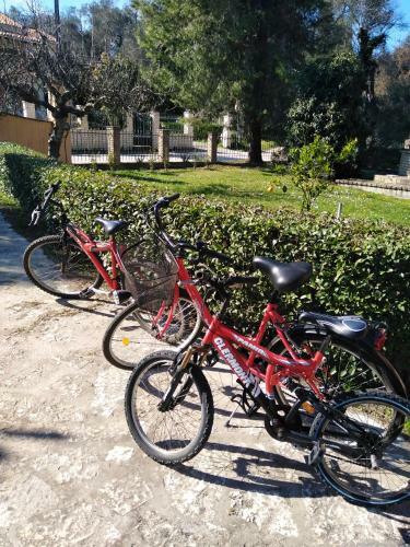 Apartamento Granis Family House