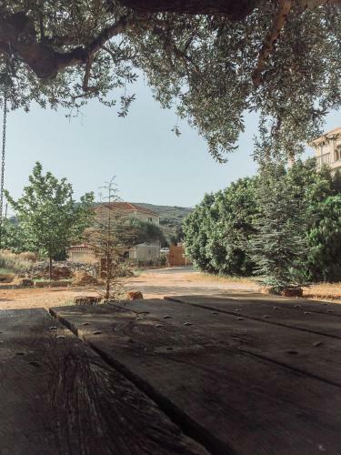Apartamento Agrilia Maison