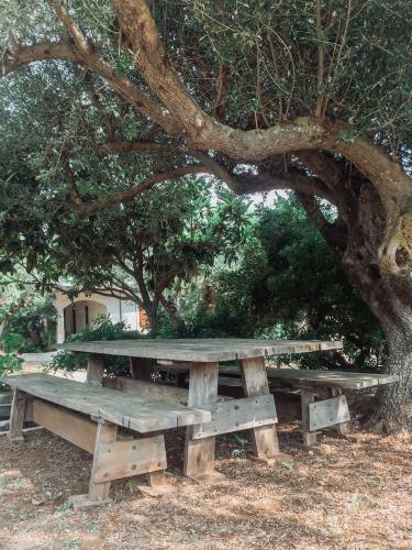 Apartamento Agrilia Maison