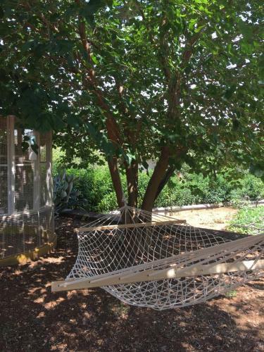 Apartamento Agrilia Maison