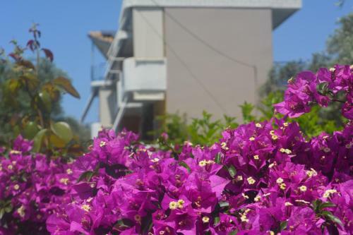 Hostal Eleonas Apartments