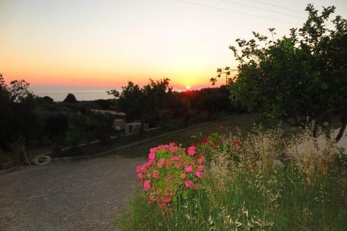 Ionian Blue View