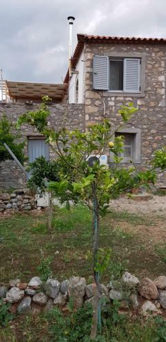 Traditional Stone Villa In Mani