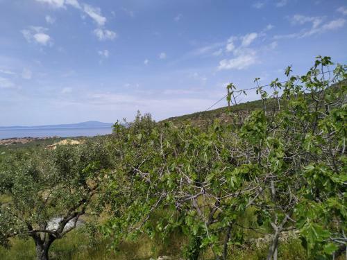 Villa Antares