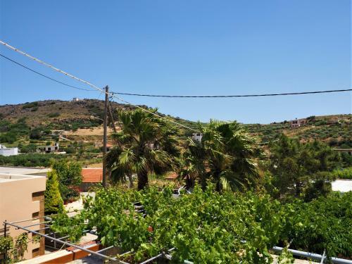 Traditional Cretan Villa