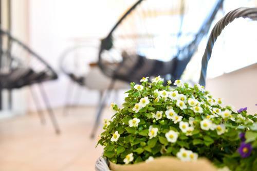 Apartamento Comfort And Style