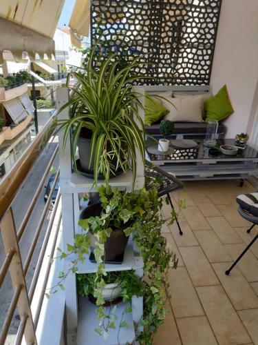 Apartamento Comfort And Style