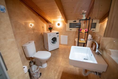Apartamento Soffitta Luminosa