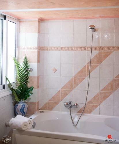 Angelina Apartment