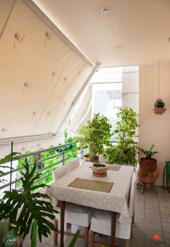 Angelina Apartment