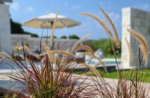Villa Theluxuryvillas
