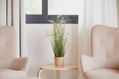 Orraon Lux Aparts