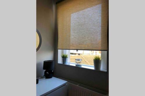 Silv Apartment(city Center)