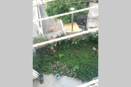 Silv Apartment(city Center)
