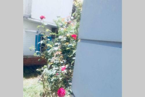 Silv Apartment(city Center)