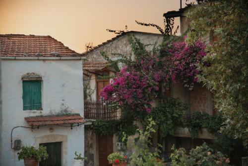Apartamento Melody House