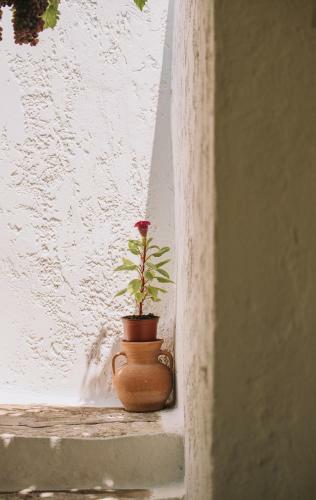 Apartamento Melody House