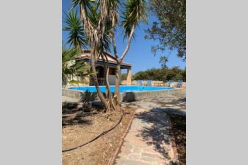 Villa Yucca Palm