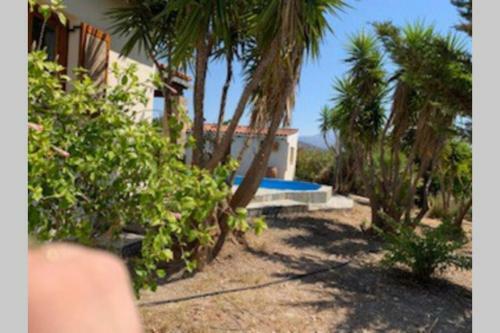 Villa Yucca Palm