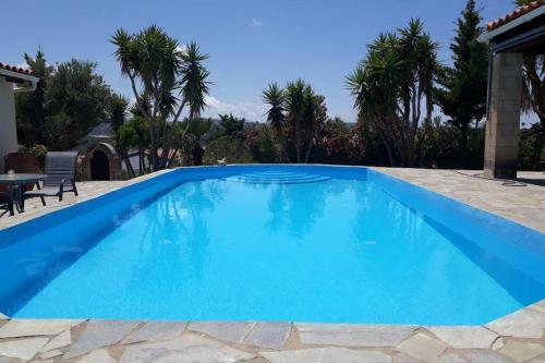 Villa Yucca Palm