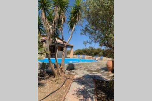 Villa Yucca Palm