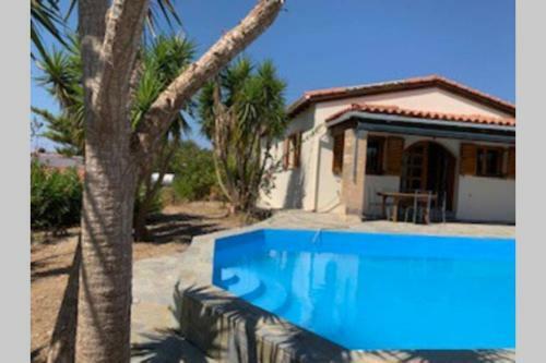 Villa Yucca Palm