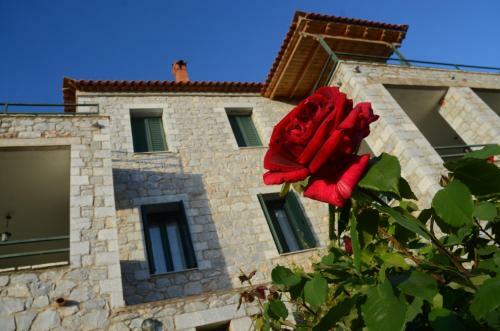 Apartamento Laenon