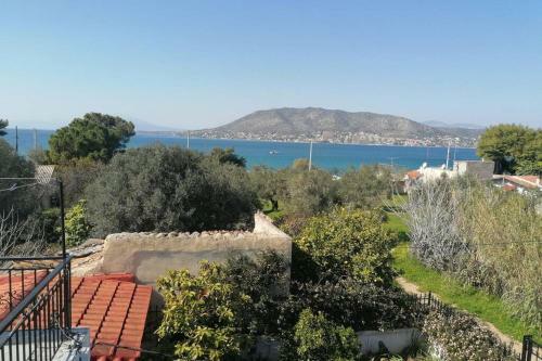 Villa Welcome In Salamina