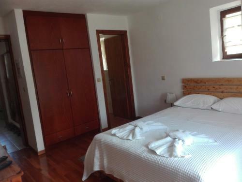 Hostal Xenonas Souliou