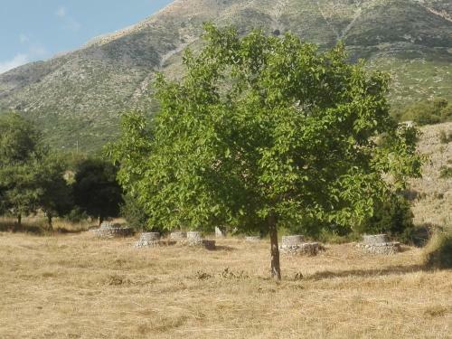 Hostal Xenonas Souliou