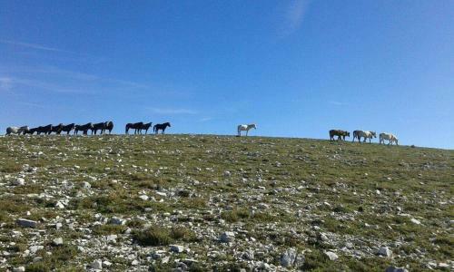 Hostal Xenonas Souliou