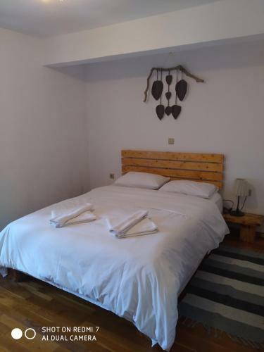 Hostal Xenonas Souliou