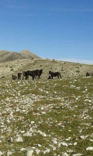 Hostal Xenonas Souliou