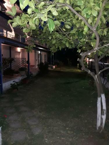 Apartamento Karavagelis Rooms