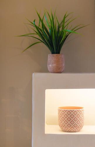 Apartamento Elysian Studios