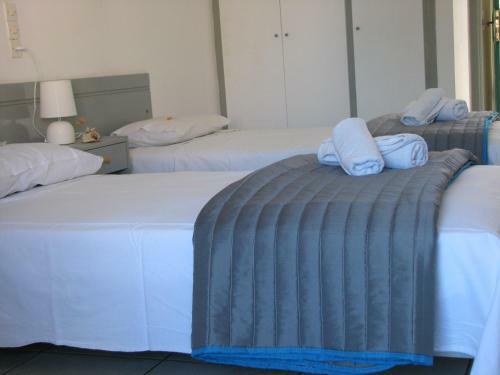 Dolphin Apartments & Studios