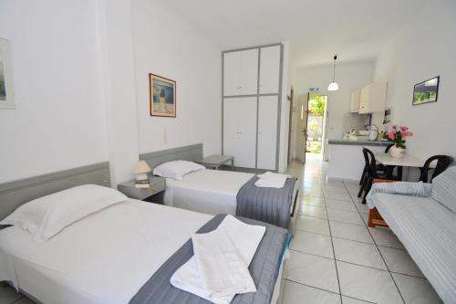 Dolphin Apartments & Studios