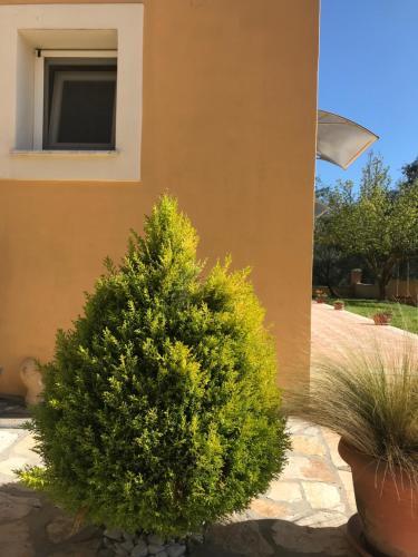 L'eremo Luxury Apartments