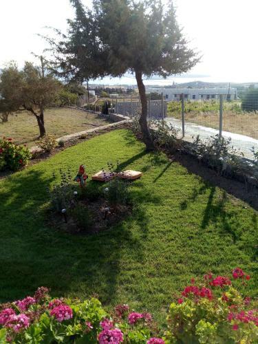 Traditional House Paros