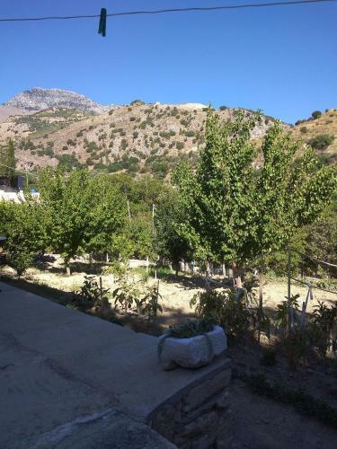 Agroturismo Aggelina