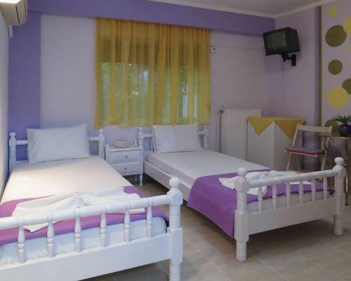 Hostal Alexis Garden