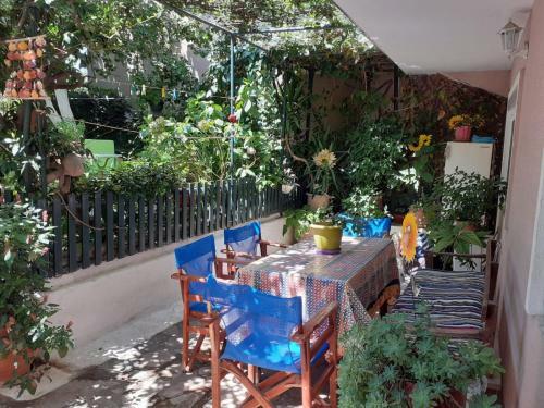 Hostal Alexis Garden