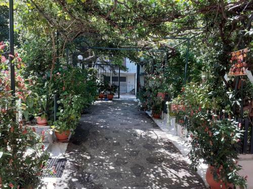 Hostal Alexis Garden