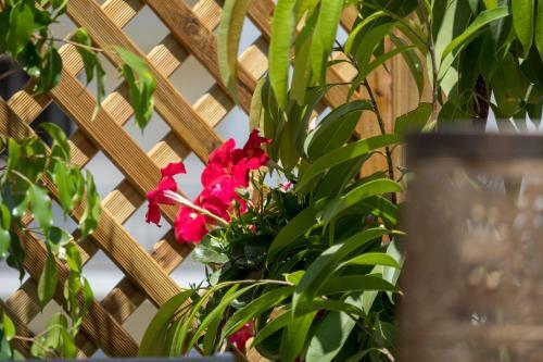 Apartamento Samos Loft